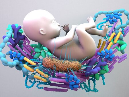 Crijevni mikrobiom: pomodni trend ili novi organ?
