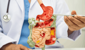 Liječnik pokazuje djelove probavnog sustava na 3D modelu