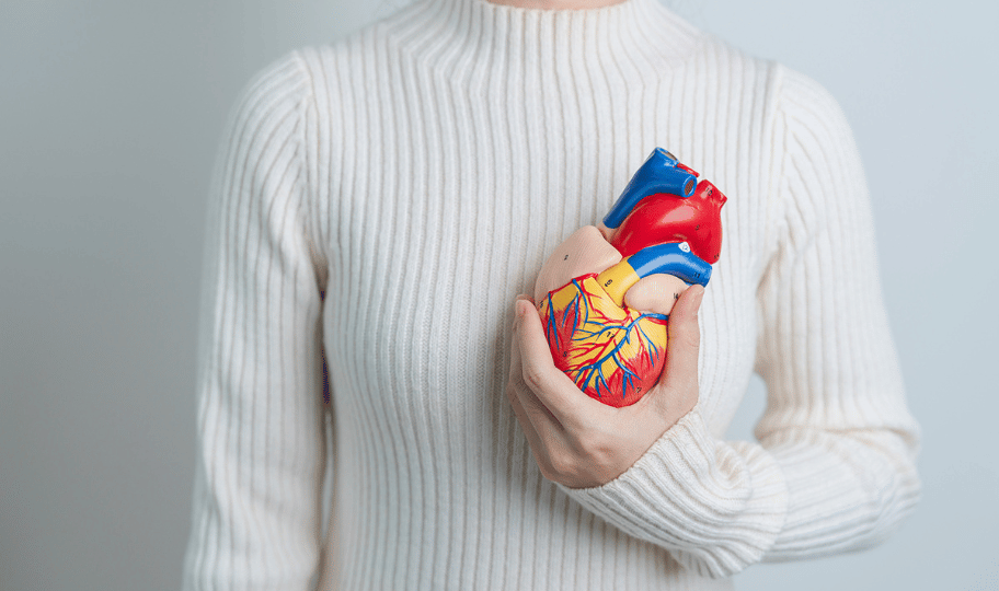 Žena u cvijelom puloveru drži model srca ispred prsa