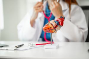 Model srca i liječnica u pozadini