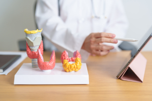 Krupni kadar liječnika s modelom štitnjače i tabletom