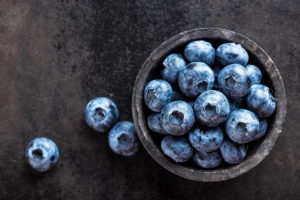 Zdjelica borovnica na sivoj podlozi