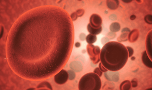 Crvena krvna zrnca