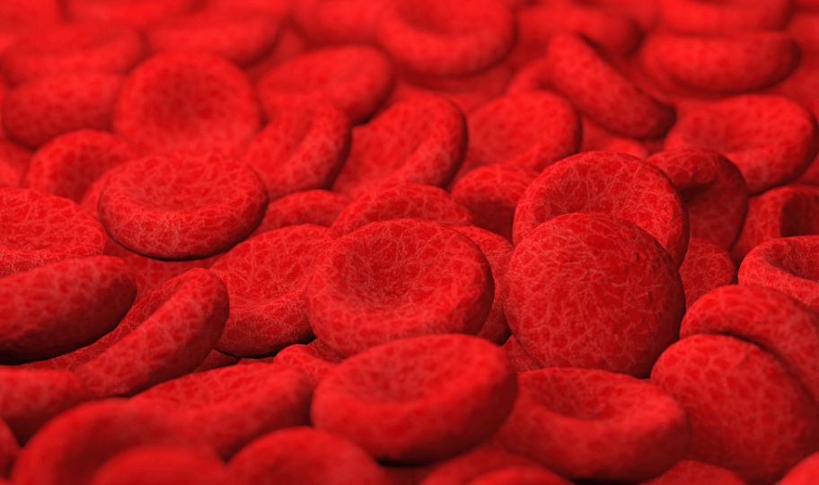 Crvena krvna zrnca
