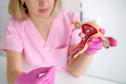 ginekologinja demonstrira uzimanje uzorka za papa test na modelu ženske maternice