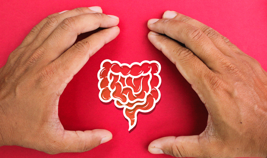 simbolički prikaz crohnove bolesti, guke oje obgrljuju papirnati model crijeva
