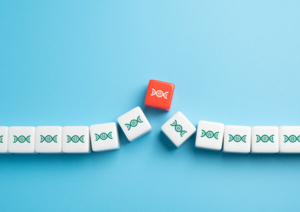 kockice na kojima je nacrtana dnk, genetika