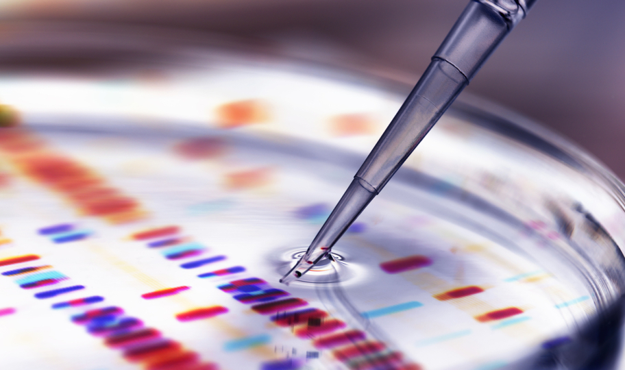 pipeta dodaje uzorak u petrijevu zdjelicu,u pozadini profil DNK