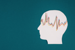 papirnati model ljudske glave, epilepsija