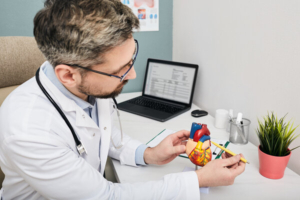 liječnik i anatomski model ljudskog srca