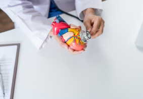 liječnik s anatomskim modelom ljudskog srca