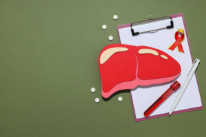 papirnati modle ljudske jetre na zrddravstvenom kartonu