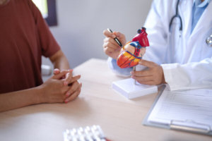 liječnik pacijentu pokazuje učinke kolesterola na modelu ljudskog srca