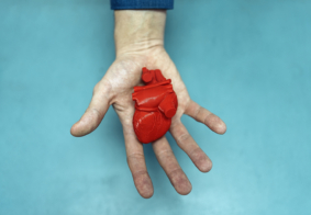 krupni kadar muške ruke na plavoj pozadini koja drži uzmanjeni model ljudskog srca