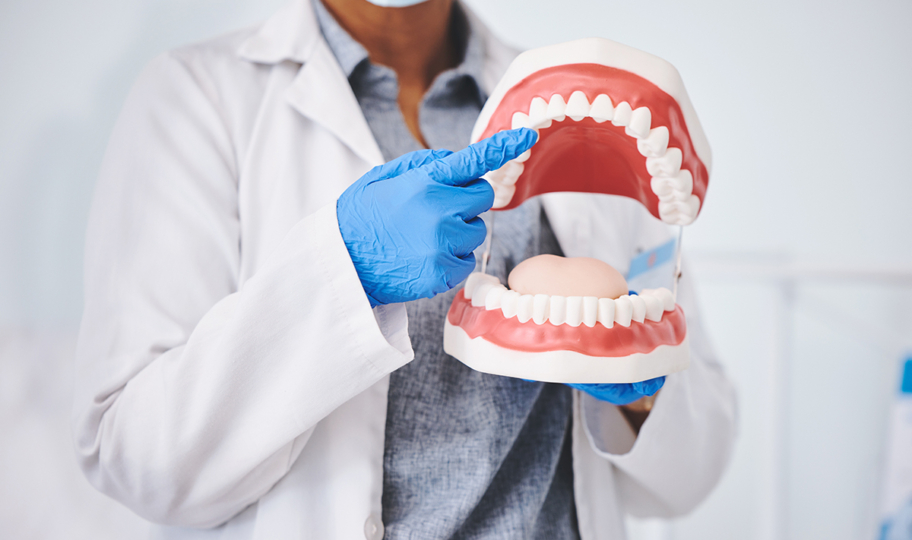 zubar pokazuje zbe na velimom modelu ljudskog zubala