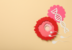 simbolički prikaz prenatalnih testova, papirnati model jajne stanice, spermija i molekule dnk