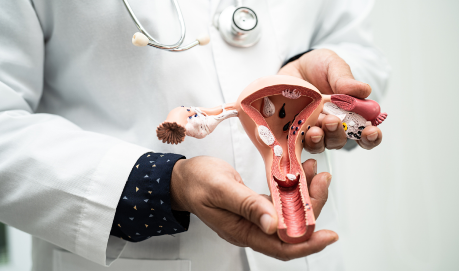 liječnik u ruci drži model maternice i jajnika