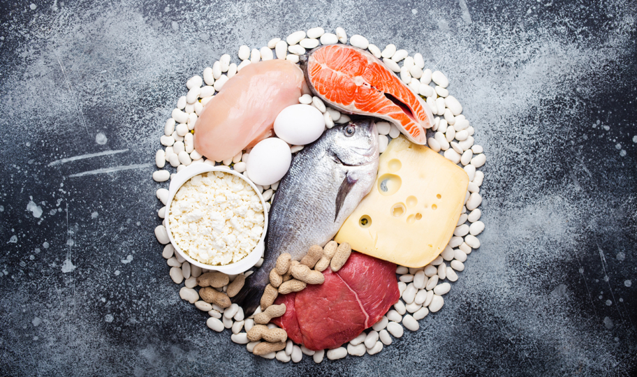 namirnice bogate proteinima na sivoj podlozi