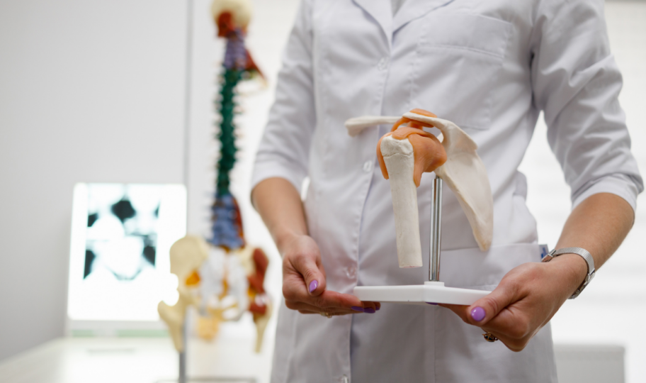 liječnica u ordinaciji pokazje model ljudskog kuka, u pozadini je model kralježnice s kukovima i lubanjom