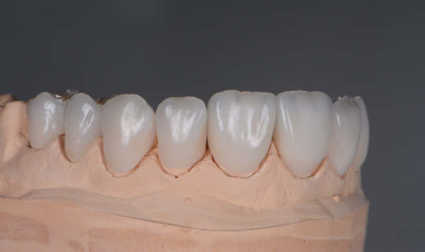 3d model čeljusti s ljuskicama