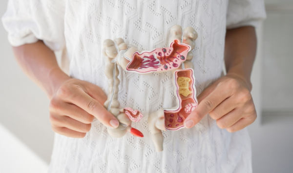 krupni kadar žene koja drži 3D model crijeva