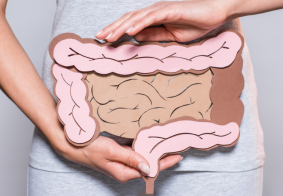 krupni kadar žene koja drži kartonski model crijeva