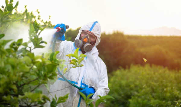 muškarac u zaštitnom odijelu prsa bilje pesticidima