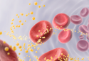 3d prikaz crvenih krvnih stanica i lipoproteina(a)