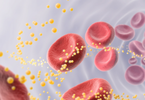 3d prikaz crvenih krvnih stanica i lipoproteina(a)