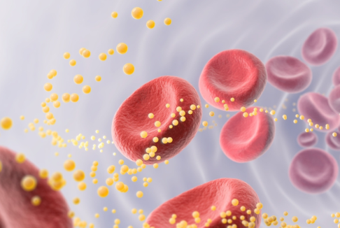 3d prikaz crvenih krvnih stanica i lipoproteina(a)